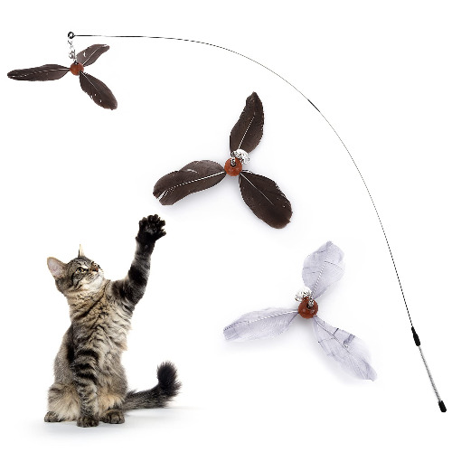 Cat feather Toys