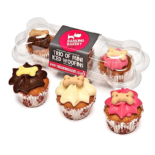 DOG TREATS Trio Mini Iced Woofin. Dog Birthday Cake For Dogs/Puppy. Small Biscuits/Ice Cake Treats. Dog Training Treats/Puppy Training Treats. Bakery Fresh Dog Treat Made In UK By The Barking Bakery. - Iced