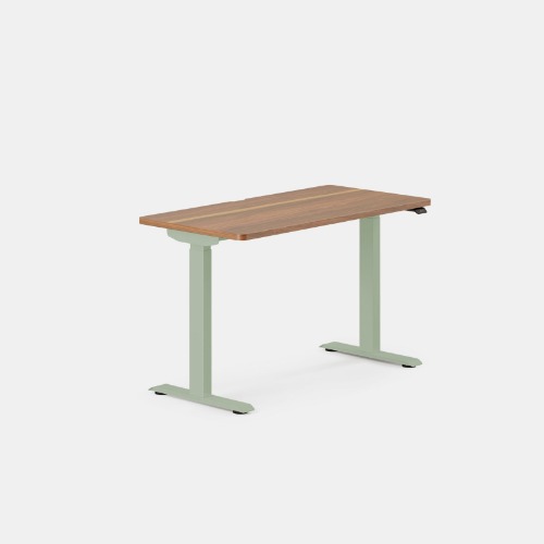 Duo Standing Desk - Walnut / Sage / 48 inches x 24 inches
