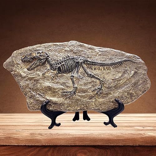 XINDAM Resin Dinosaur Fossil Statue Model Simulated Skeleton Home Office Display Decorative Craft Box Decoration (Style 2) - Style 8