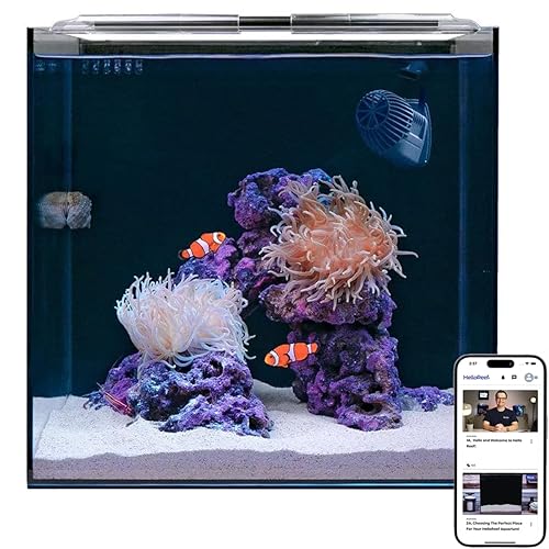 HelloReef 15 Gallon Beginner Clownfish Saltwater Aquarium Kit with App Controlled Smart LED Lighting, Filtration, Decor, and Setup Guide