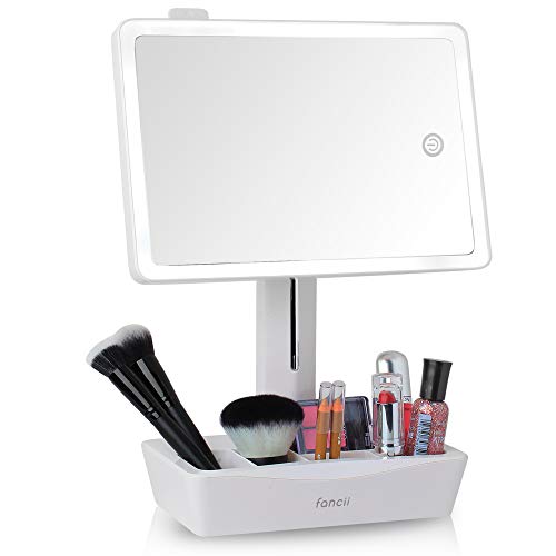 Fancii LED Lighted X Large Vanity Makeup Mirror with 10X Magnifying Mirror - Dimmable Natural Light, Touch Screen, Dual Power, Adjustable Stand with Cosmetic Organizer (Gala)