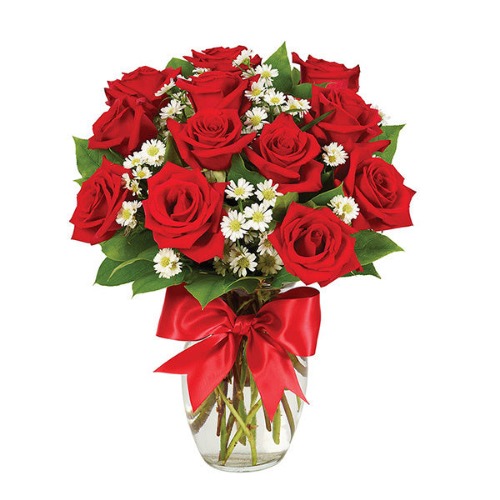 1 Dozen Roses - Red - 1 Dozen Roses - Red / BF231-11KM