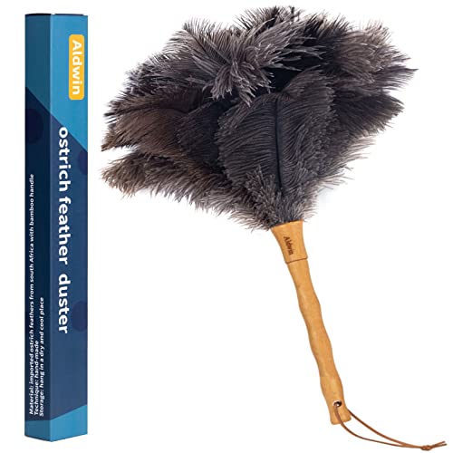 Feather Duster