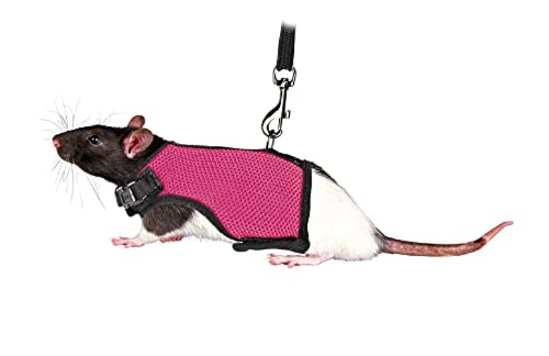 Trixie 61511 Small Animal réglé pour les rats, avec le nylon, 12.9 cm de 18/12 cm trié - coloris assortis - Petit