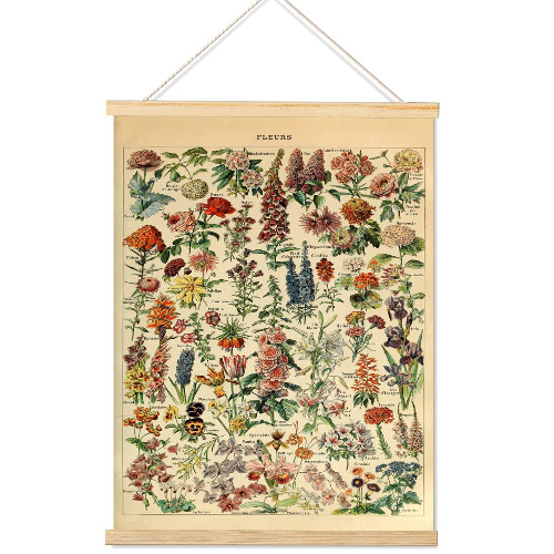 Armindou Vintage Flowers Poster Prints, Cottagecore Plant Floral Reference Chart Canvas Art Wall Decor, Rustic Botanical Fleurs Hanging Posters for Bedroom Room Aesthetic Decors Frame,16 x 22 Inches