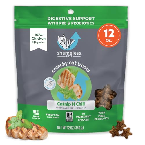 Catnip Treats for Cats with Digestive Support - Catnip N Chill - 12 Ounce