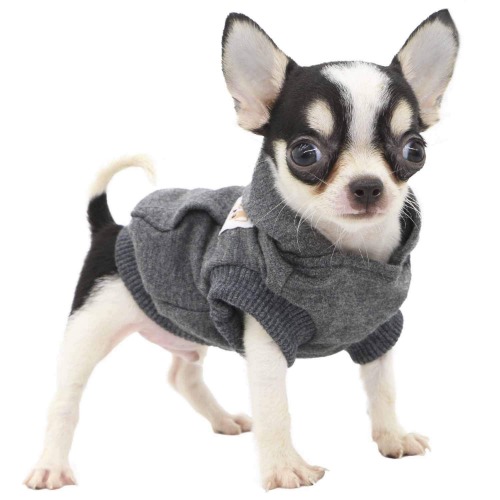 LOPHIPETS Dog Cotton Hoodies Sweatshirts for Small Dogs Chihuahua Puppy Clothes Cold Weather Coat-Charcoal/XS - XX-Small for 0.5-1.2 lbs Navy