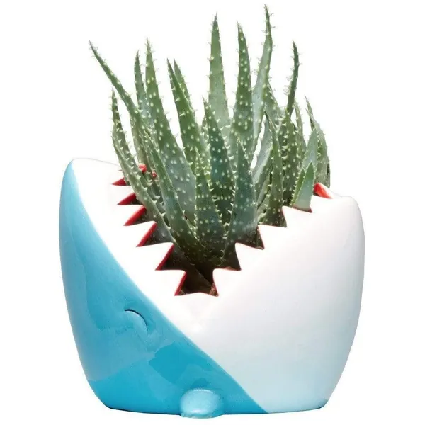 Shark Planter by Karma Kiss