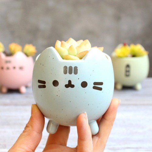 Pusheen cat flowerpot