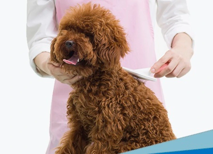 Haircut and bath for Ron 🧸 Corte de pelo y baño para Roncito🧸