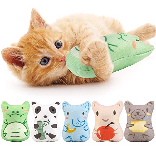 Dorakitten Catnip Toys for Indoor Cats - 5PCS Plush Cat Chew Toy Interactive Catnip Filled Kitten Toy Soft Pet Toy - Mint