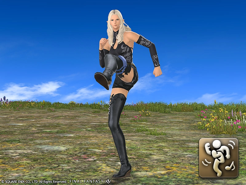 Emote: Get Fantasy | FINAL FANTASY XIV Online Store