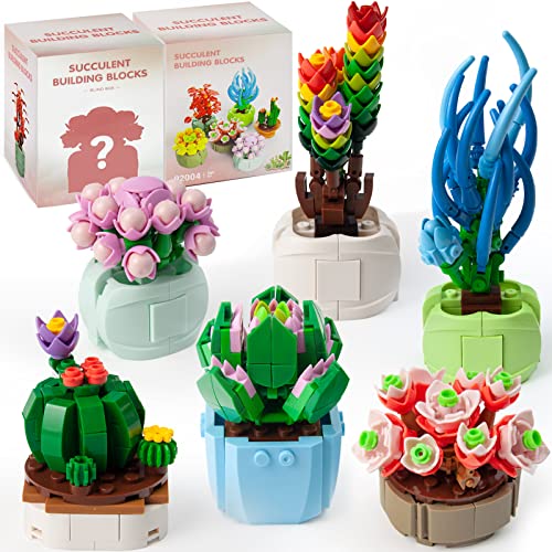 OundarM Succulents Blind Box Series - Succulents Random 2 Boxes