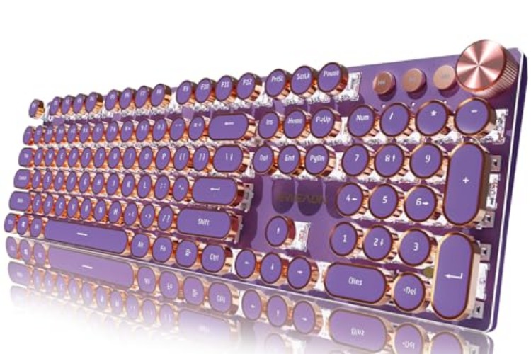 SEUNKWANG EWEADN Typewriter Style Mechanical Gaming Keyboard,104 Keys Backlit LED Keyboard, Media Control Knob, Wired Computer Keyboard Pink Switch for Windows/Mac/PC-Purple - Purple