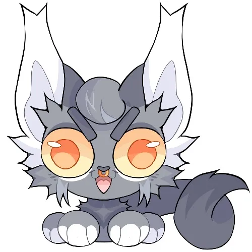 Groceries for the week