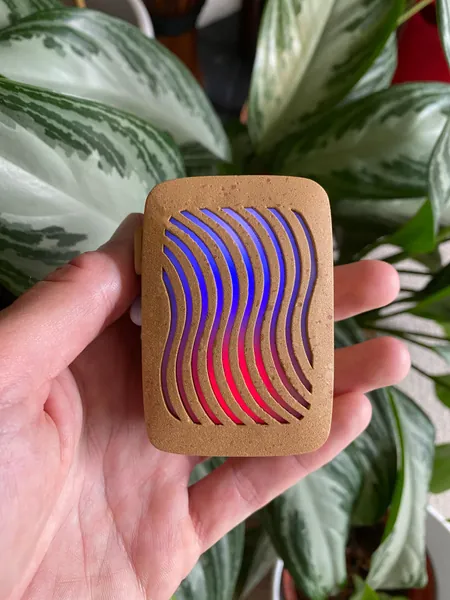 PLANTWAVE — PlantWave