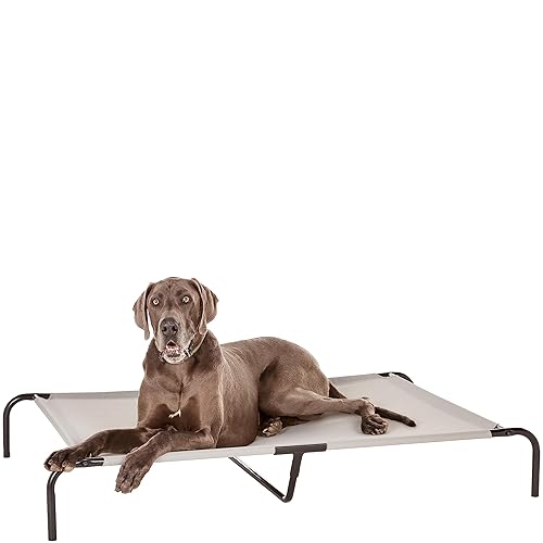 Elevated Cooling Dog Bed