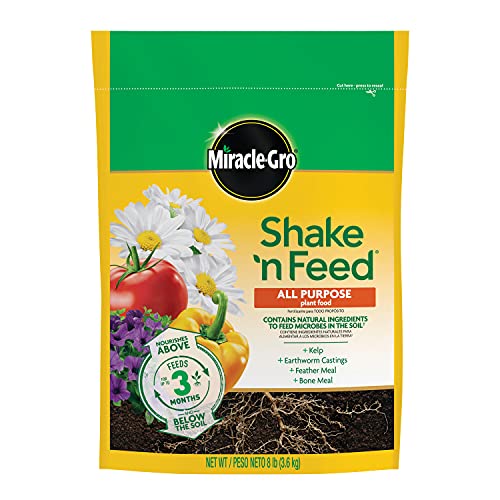 Plant Food