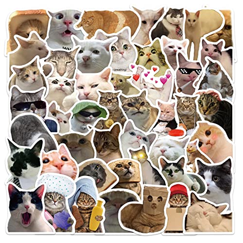 Cat Meme Stickers