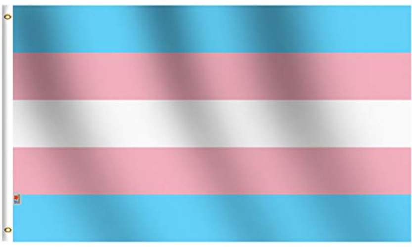 Transgender Pride Flag 3x5 Ft Outdoor Large, Moderate-Outdoor Both Sides Heavy Duty100D Polyester ,Canvas Header and Double Stitched - Brass Grommets for Easy Display, Trans Pride Flags - Trans