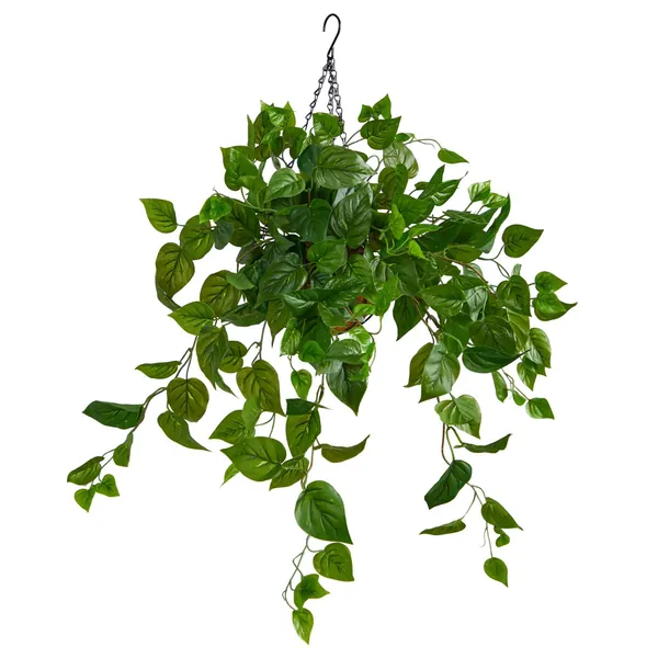 2.5’ Philodendron Artificial Plant in Hanging Basket by Nearly Natural