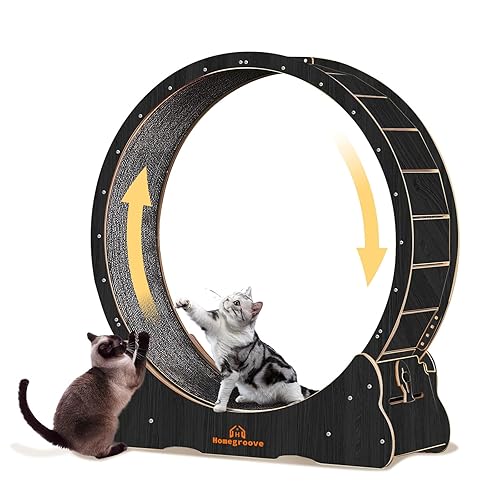 Homegroove Cat Wheel Cat Exercise Wheels for Indoor Cats, 45 inch Large Cat Running Wheel with Carpeted Runway, Cat Treadmill Wheel for Kitty’s Longer Life, Cat Wheel for Fitness Weight, Black(XL) - XL - Black