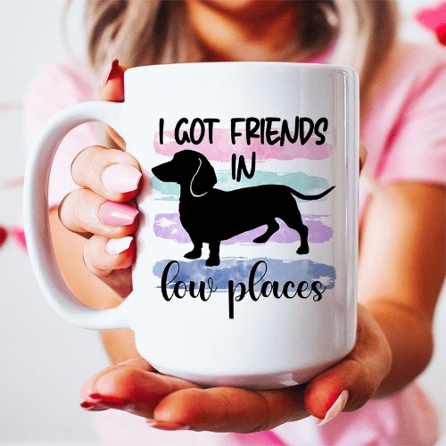 I Got Friends In Low Places Ceramic Mug 15 oz - White / One Size