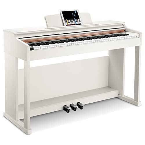 Donner DDP-100 88-Key Weighted Action Digital Piano, Beginner keyboard piano Bundle with Furniture Stand, Power Adapter, White - DDP-100 White