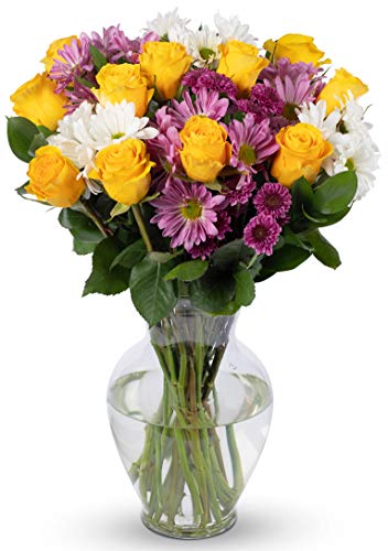 Benchmark Bouquets Life is Good Flowers Yellow, Prime Delivery, Vase Included, Grower Direct Fresh Cut Flowers, Gift for Home Décor, Birthday, Anniversary, Get Well, Sympathy, Friendship and Love. - Yellow