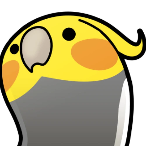 Bird supplies and toys from my local pet store!