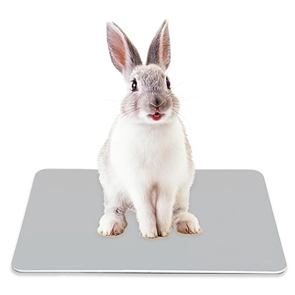 WELLYUK Aluminum Pet Cooling Pad for Bunny, Cat, Rabbit, Hamster, Guinea Pig and Other Small Pets, 11.8" X 7.9" Summer Animal Cool Mat Plate Ice Bed Cage Accessories