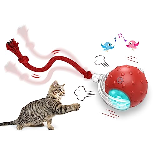 Giociv Interactive Cat Toys Ball for Indoor Cats Fast Rolling on Carpet, Chirping & Motion Activate Cat Toys (Red) - Red