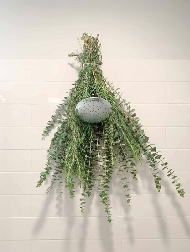 Fresh Eucalytpus and Rosemary for Shower | Fresh and Aromatic Rosemary | Fresh and Fragrant Eucalyptus | 100% Natural | Self-Care Shower : Beauty & Personal Care
