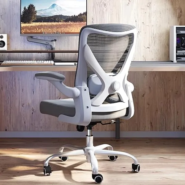 Ergalithic Ergonomic Office Chair - X-Shaped Computer Desk Chair Comfy, Gaming Chair, Office Chair with Lumbar Support, Mesh Office Chairs, Desk Chair for Long Hours(Grey)