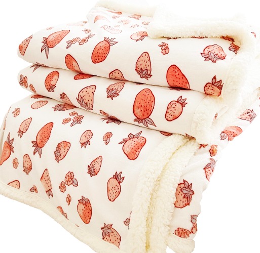 J-pinno Strawberry Cartoon Velvet Plush Sherpa Fleece Fluffy Cozy Soft Blanket Bed Coverlet Comforter Winter Warm Thick Throw Toddler Kids Twin Polyester Bedding Blanket - Velvet Strawberry Twin 59" X 78"