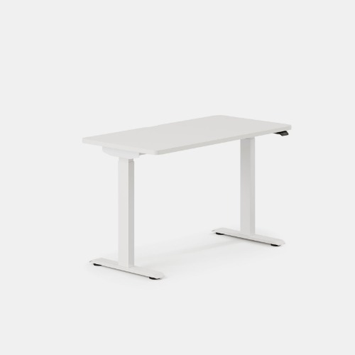 Duo Standing Desk - White / White / 48 inches x 24 inches
