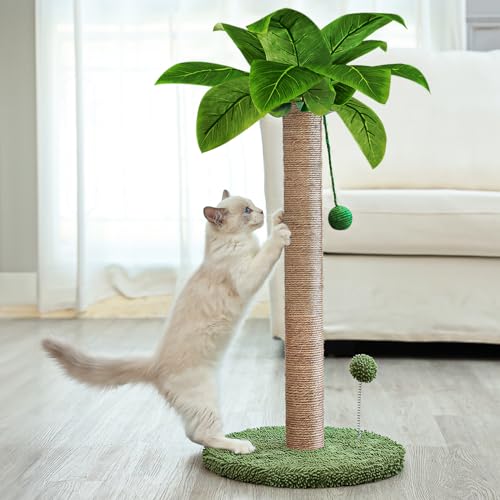 Dohump Cat Scratching Post, 26" Kitten Scratching Post with Premium Sisal Rope, Cute Cat Tree with Dangling and Spring Ball Toys for Indoor Small Cats - 26" for Kittens - Green