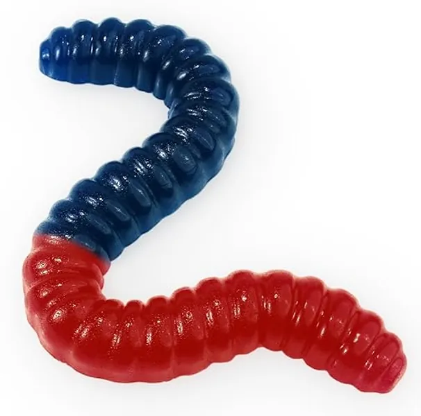 Giant Gummy Worm - Large 2 Pound Gummy Candy with Big Fruity Flavor from GGB Candies (Cherry/Blue Raspberry) - Cherry / Blue Raspberry