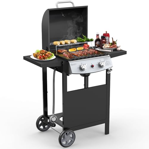 Cowsar 2 burner BBQ Propane Gas Grill, stainless steel 20000 BTU, equipped with 2 foldable shelves and 2 wheels for easy mobility, Ideal for outdoor kitchens and backyard patio barbecues - Black