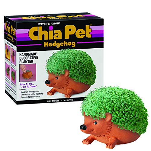 Chia CP438-01 Pet Hedgehog Decorative Pottery Planter, Easy to Do and Fun to Grow