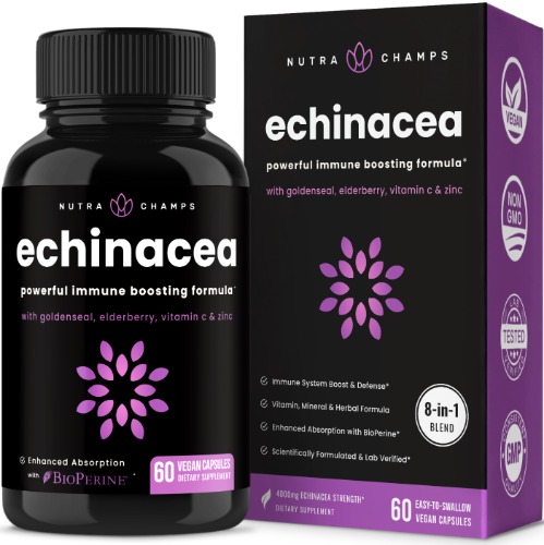 Echinacea