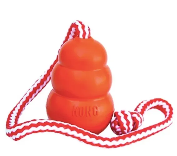 KONG Aqua Dog Toy