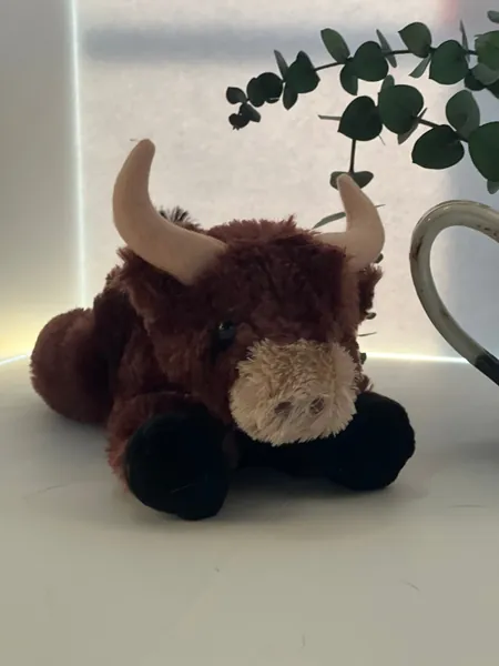 Highland Cow/Yak/Bull Plush Toy! Cute Flopsy!