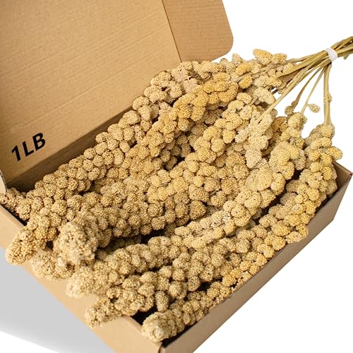 Jmxu's Spray Millet Treat