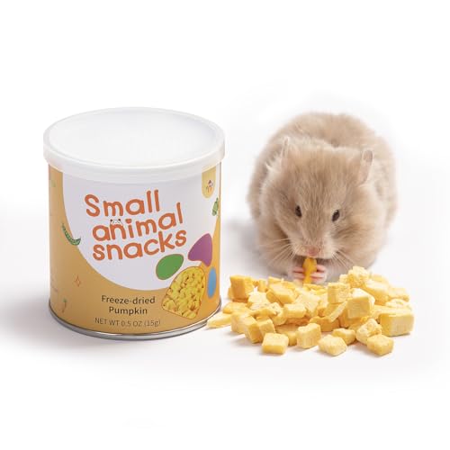 Niteangel Hamster Snack & Treats - Pumpkin
