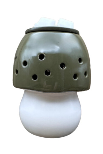 Mushroom Wax Melter Title