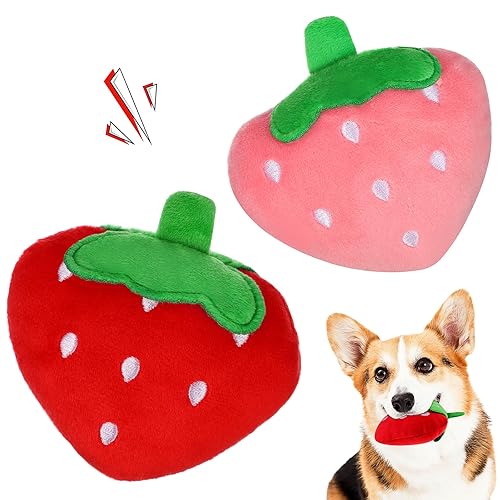 Strawberry squeaky toys 🍰