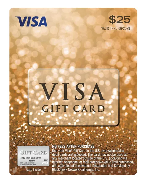 $25 Visa Gift Card (plus $3.95 Purchase Fee)