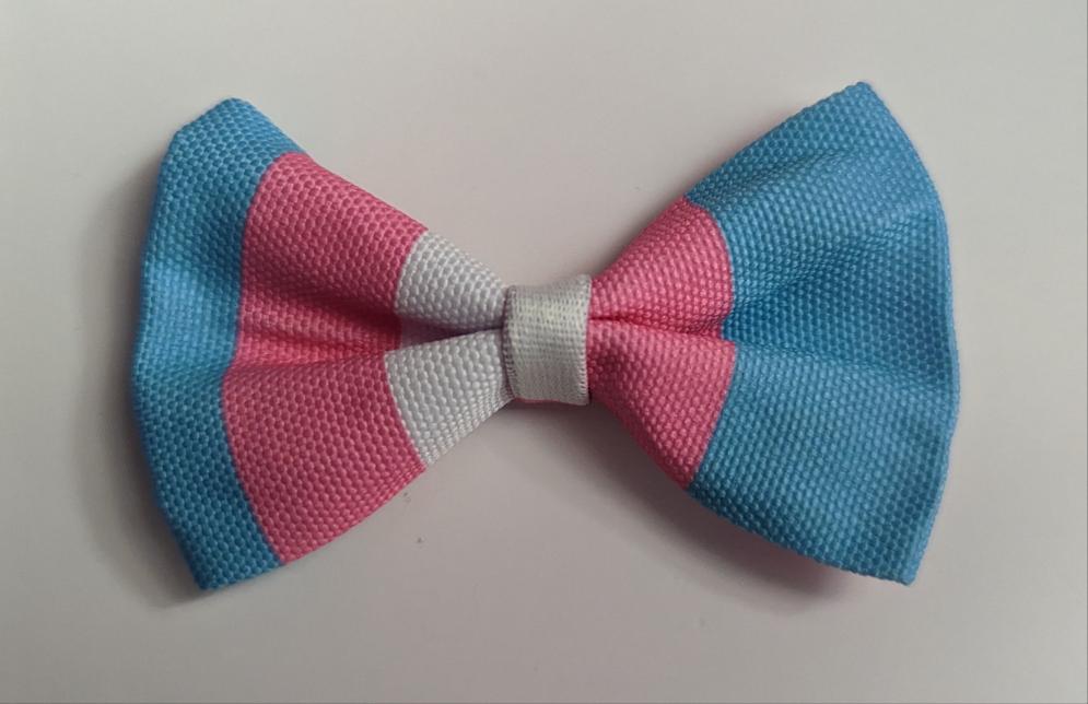Trans Pet Collar Bowtie
